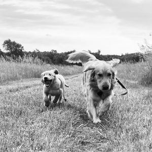 Meet your Posher, Kaylee